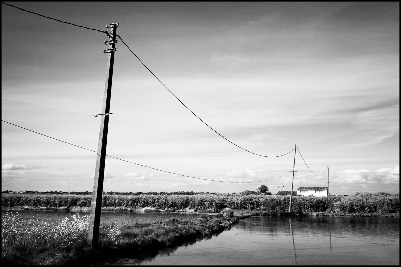 Ile de Ré, Charente-Maritime, France